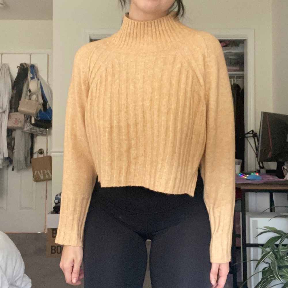 Cropped turtleneck sweater